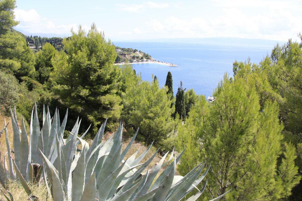 Split Hotel 4*